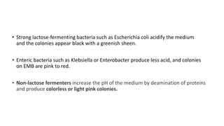 • Strong lactose-fermenting bacteria such as Escherichia coli acidify the medium
and the colonies appear black with a greenish sheen.
• Enteric bacteria such as Klebsiella or Enterobacter produce less acid, and colonies
on EMB are pink to red.
• Non-lactose fermenters increase the pH of the medium by deamination of proteins
and produce colorless or light pink colonies.
 