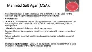 Mannitol Salt Agar (MSA):
• Mannitol salt agar is both a selective and differential media used for the
isolation of pathogenic Staphylococci from mixed cultures.
• Components:
• 7.5% NaCl – selects for species of Staphylococcus. This concentration of salt
is too high for most other bacteria to withstand and , therefore, inhibits
their growth.
• Mannitol – alcohol of the carbohydrate mannose.
• Mannitol fermentation produces acid end products which turn the medium
yellow.
• Yellow indicates mannitol positive and no color change indicates mannitol
negative.
• Phenol red pH indicator – yellow in acid pH (The same indicator that is used
in phenol red carbohydrate fermentation broths).
 