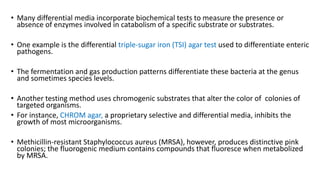 • Many differential media incorporate biochemical tests to measure the presence or
absence of enzymes involved in catabolism of a specific substrate or substrates.
• One example is the differential triple-sugar iron (TSI) agar test used to differentiate enteric
pathogens.
• The fermentation and gas production patterns differentiate these bacteria at the genus
and sometimes species levels.
• Another testing method uses chromogenic substrates that alter the color of colonies of
targeted organisms.
• For instance, CHROM agar, a proprietary selective and differential media, inhibits the
growth of most microorganisms.
• Methicillin-resistant Staphylococcus aureus (MRSA), however, produces distinctive pink
colonies; the fluorogenic medium contains compounds that fluoresce when metabolized
by MRSA.
 