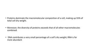 • Proteins dominate the macromolecular composition of a cell, making up 55% of
total cell dry weight.
• Moreover, the diversity of proteins exceeds that of all other macromolecules
combined.
• DNA contributes a very small percentage of a cell’s dry weight; RNA is far
more abundant
 