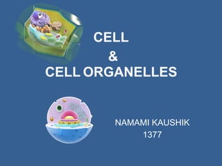 CELL
&
CELL ORGANELLES
NAMAMI KAUSHIK
1377
 