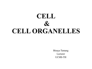 CELL
&
CELL ORGANELLES
Binaya Tamang
Lecturer
UCMS-TH
 