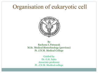 Organisation of eukaryotic cell
By
Rachana L Patnayak
M.Sc. Medical Biotechnology (previous)
Pt. J.N.M. Medical College
Guided by
Dr. G.K. Sahu
Associate professor
Pt. J.N.M. Medical college
 