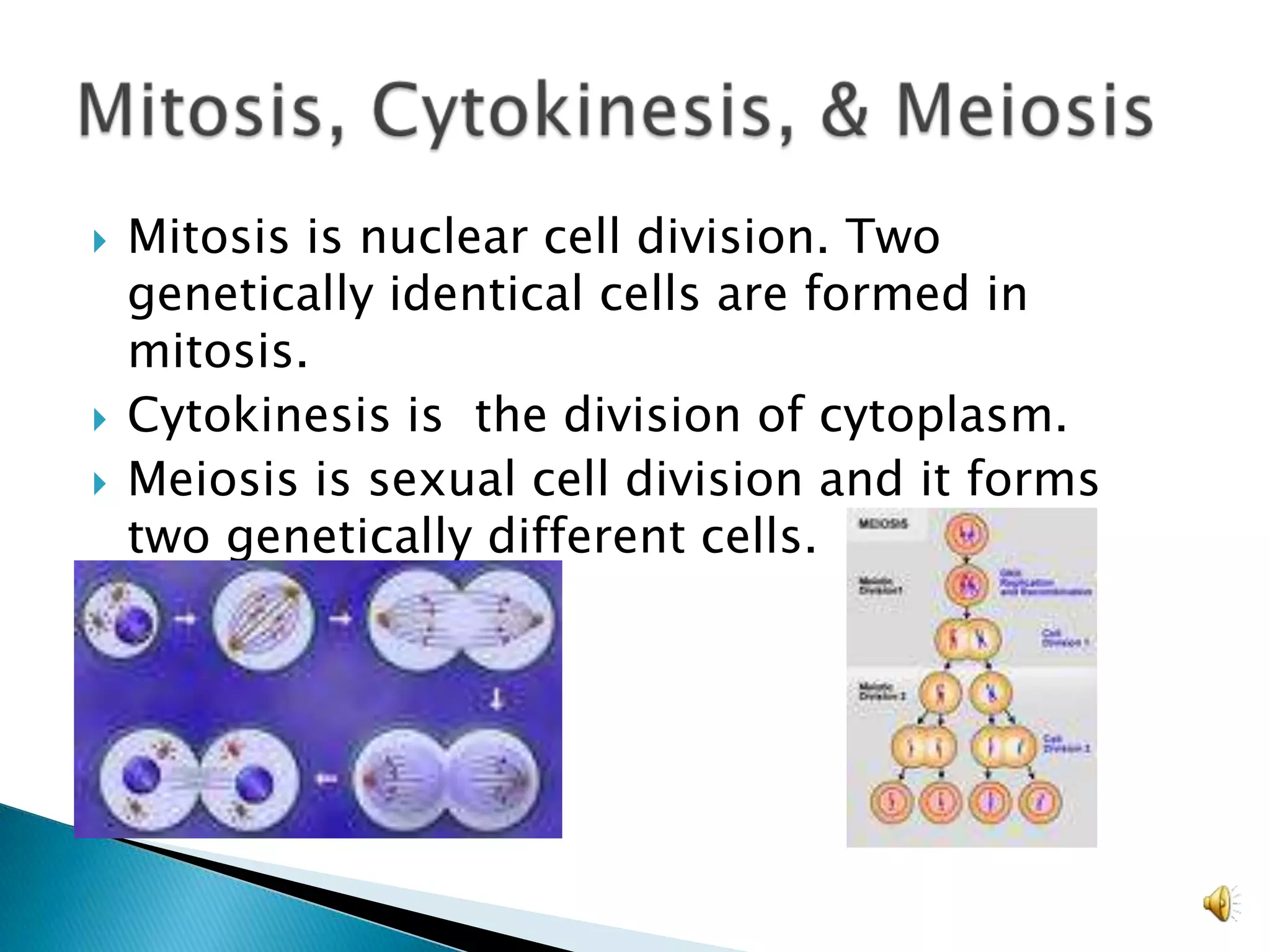 Mitosis is nuclear cell division. Two genetically identical cells are formed in mitosis.Cytokinesis is  the division of cytoplasm.Meiosis is sexual cell division and it forms two genetically different cells.Mitosis, Cytokinesis, & Meiosis