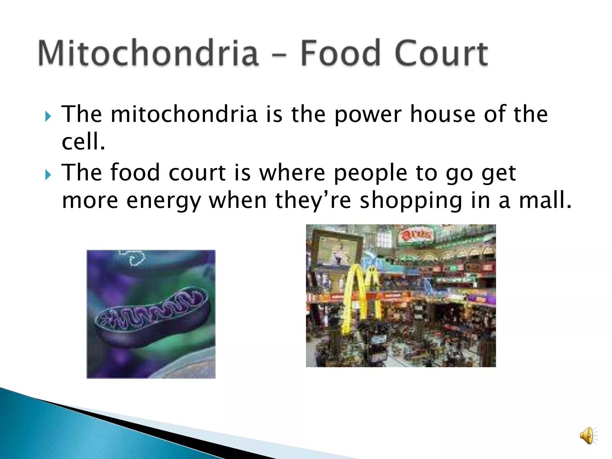 The mitochondria is the power house of the cell.The food court is where people to go get more energy when they’re shopping in a mall.Mitochondria – Food Court