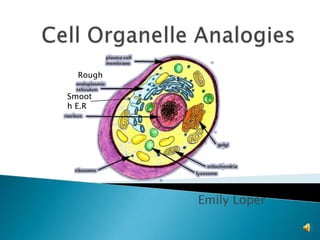 Cell Organelle Analogies Rough Smooth E.R Emily Loper 