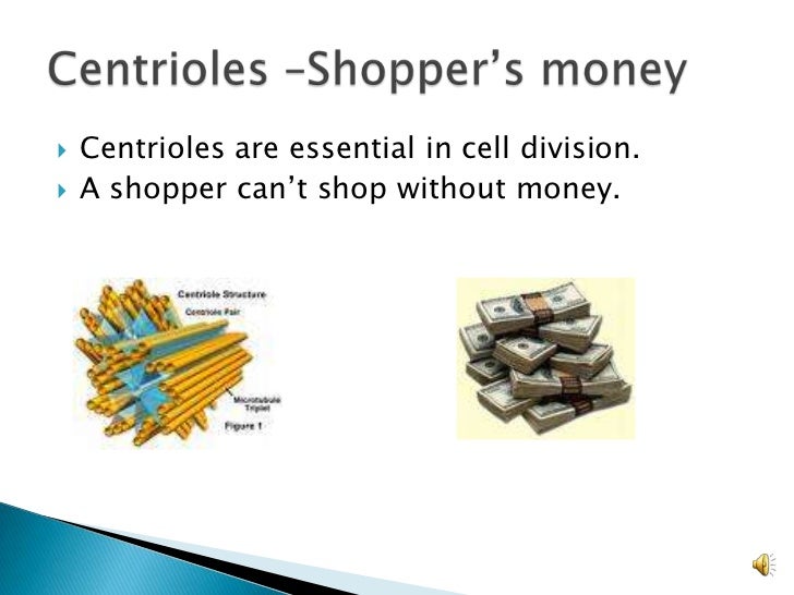 cell organelle analogies