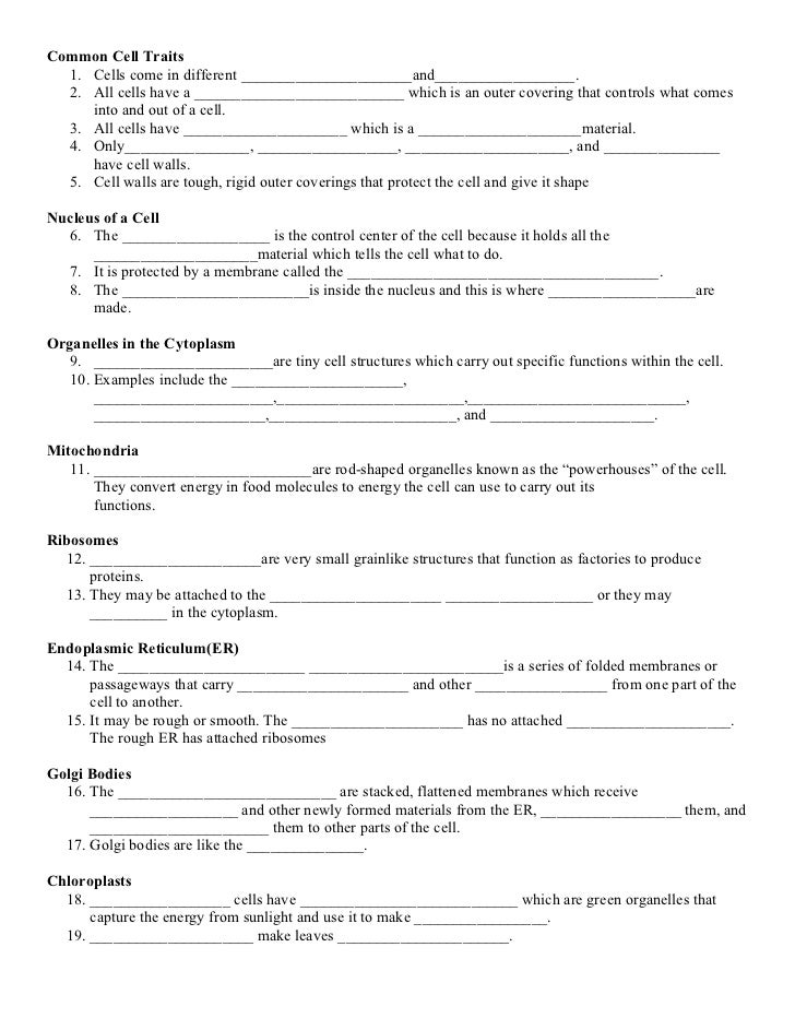 Printables Cell Organelles Worksheet Answers cell organelle worksheet answers davezan organelles functions davezan