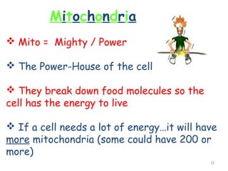 Mitochondria
 Mito = Mighty / Power

 The Power-House of the cell

 They break down food molecules so the
cell has the energy to live

 If a cell needs a lot of energy…it will have
more mitochondria (some could have 200 or
more)
                                            11
 