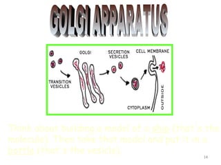 Think about building a model of a ship (that's the
molecule). Then take that model and put it in a
bottle (that's the vesicle).
                                              14
 