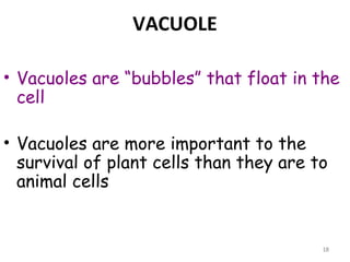 VACUOLE

• Vacuoles are “bubbles” that float in the
  cell 

• Vacuoles are more important to the
  survival of plant cells than they are to
  animal cells


                                         18
 