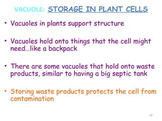VACUOLE: STORAGE IN PLANT CELLS
• Vacuoles in plants support structure

• Vacuoles hold onto things that the cell might
  need…like a backpack

• There are some vacuoles that hold onto waste
  products, similar to having a big septic tank

• Storing waste products protects the cell from
  contamination

                                              19
 