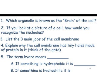 1. Which organelle is known as the “Brain” of the cell?
2. If you look at a picture of a cell, how would you
recognize the nucleolus?
3. List the 3 main jobs of the cell membrane
4. Explain why the cell membrane has tiny holes made
of protein in it (think of the gate).
5. The term hydro means _________.
     A. If something is hydrophobic it is _________
                                                   28
     B. If something is hydrophilic it is __________
 