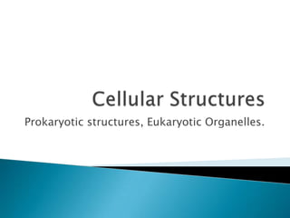 Prokaryotic structures, Eukaryotic Organelles.
 