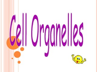 Cell Organelles 