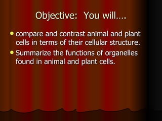Objective:  You will…. ,[object Object],[object Object]