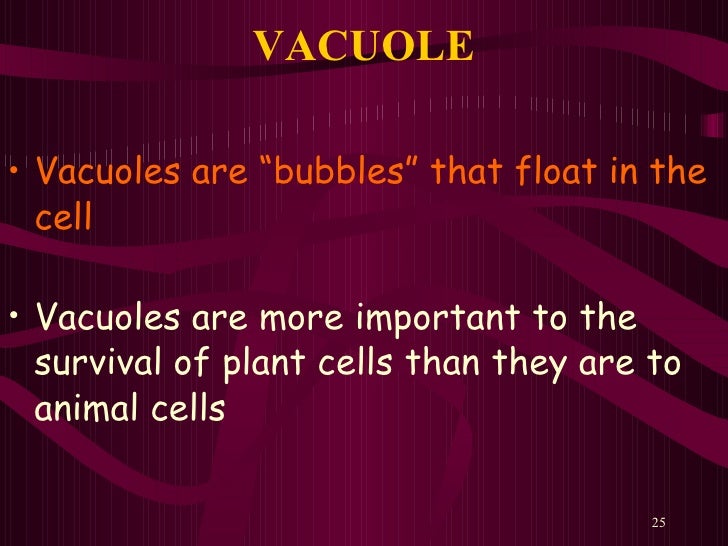 Cell Organelles