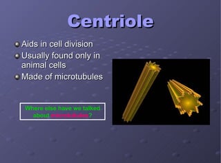 Centriole Aids in cell division Usually found only in animal cells Made of microtubules Where else have we talked about  microtubules ? 