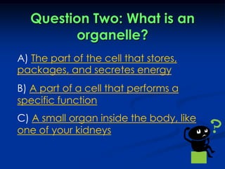 Question Two: What is an organelle?A) The part of the cell that stores, packages, and secretes energyB) A part of a cell that performs a specific functionC) A small organ inside the body, like one of your kidneys