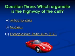 Question Three: Which organelle is the highway of the cell?A) MitochondriaB) NucleusC) Endoplasmic Reticulum (E.R.)