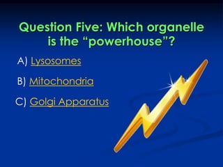 Question Five: Which organelle is the “powerhouse”?A) LysosomesB) MitochondriaC) Golgi Apparatus