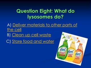 Question Eight: What do lysosomes do?A) Deliver materials to other parts of the cellB) Clean up cell wasteC) Store food and water