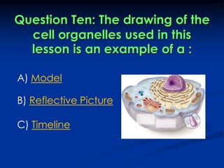 Question Ten: The drawing of the cell organelles used in this lesson is an example of a : A) ModelB) Reflective PictureC) Timeline