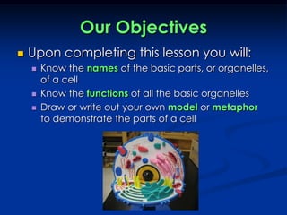 Our ObjectivesUpon completing this lesson you will:Know the names of the basic parts, or organelles, of a cellKnow the functions of all the basic organellesDraw or write out your own model or metaphor to demonstrate the parts of a cell
