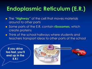 Cell Organelles | PPT
