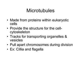 Microtubules Made from proteins within eukaryotic cells Provide the structure for the cell- cytoskeleton Tracks for transporting organelles & vesicles Pull apart chromosomes during division Ex: Cillia and flagella 