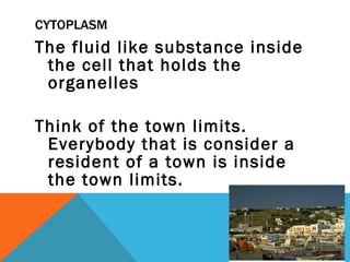 CYTOPLASM The fluid like substance inside the cell that holds the organelles  Think of the town limits.  Everybody that is consider a resident of a town is inside the town limits. 