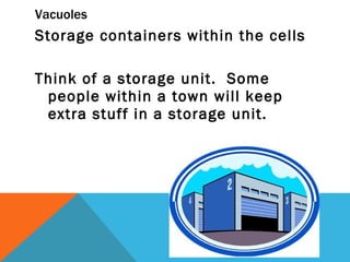 Vacuoles Storage containers within the cells Think of a storage unit.  Some people within a town will keep extra stuff in a storage unit. 