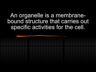 An organelle is a membrane-bound structure that carries out specific activities for the cell. 