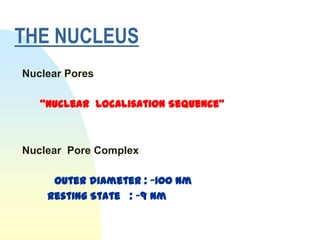 THE NUCLEUS
Nuclear Pores

   “Nuclear Localisation Sequence”



Nuclear Pore Complex

     Outer diameter : ~100 nm
    Resting State : ~9 nm
 
