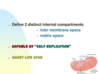    Define 2 distinct internal compartments
                  - inter membrane space
                  - matrix space

   Capable of “Self replication”

   Short Life span
 