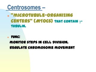 Centrosomes –
   “microtubule-organizing
    centers” (MTOCs) that contain γ-
    tubulin.

    Func:
    monitor steps in cell division.
    regulate chromosome movement
 