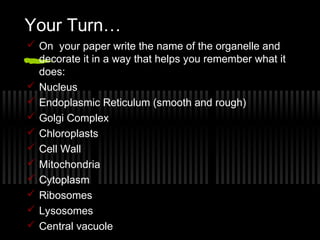 Your Turn…
 On your paper write the name of the organelle and
  decorate it in a way that helps you remember what it
  does:
 Nucleus
 Endoplasmic Reticulum (smooth and rough)
 Golgi Complex
 Chloroplasts
 Cell Wall
 Mitochondria
 Cytoplasm
 Ribosomes
 Lysosomes
 Central vacuole
 