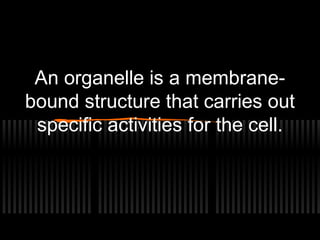 An organelle is a membrane-
bound structure that carries out
 specific activities for the cell.
 