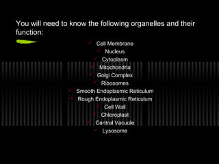 You will need to know the following organelles and their
function:
                      Cell Membrane
                          Nucleus
                        Cytoplasm
                       Mitochondria
                      Golgi Complex
                        Ribosomes
                 Smooth Endoplasmic Reticulum
                 Rough Endoplasmic Reticulum
                         Cell Wall
                        Chloroplast
                      Central Vacuole
                         Lysosome
 