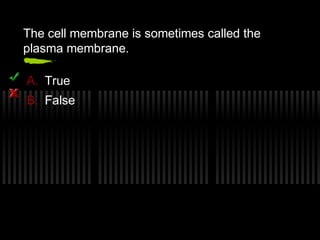 The cell membrane is sometimes called the
plasma membrane.

A. True
B. False
 