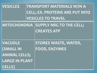 VESICLES   TRANSPORT MATERIALS W/IN A
           CELL; EX. PROTEINS ARE PUT INTO
           VESICLES TO TRAVEL
MITOCHONDRIA SUPPLY NRG TO THE CELL;
             CREATES ATP

VACUOLE        STORES WASTE, WATER,
(SMALL IN      FOOD, ENZYMES
ANIMAL CELLS;
LARGE IN PLANT
CELLS)
 