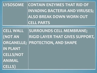 LYSOSOME CONTAIN ENZYMES THAT RID OF
         INVADING BACTERIA AND VIRUSES;
         ALSO BREAK DOWN WORN OUT
         CELL PARTS
CELL WALL SURROUNDS CELL MEMBRANE;
(NOT AN    RIGID LAYER THAT GIVES SUPPORT,
ORGANELLE; PROTECTION, AND SHAPE
IN PLANT
CELLS/NOT
ANIMAL
CELLS)
 