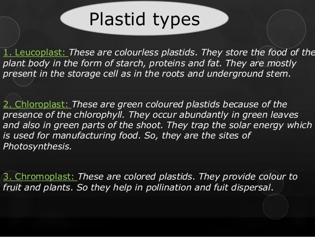 Cell organelles