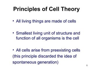 Principles of Cell Theory
• All living things are made of cells
• Smallest living unit of structure and
function of all organisms is the cell
• All cells arise from preexisting cells
(this principle discarded the idea of
spontaneous generation)
5
 