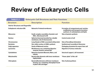 Review of Eukaryotic Cells
51
 