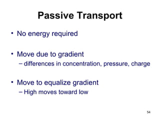 Passive Transport
• No energy required
• Move due to gradient
– differences in concentration, pressure, charge
• Move to equalize gradient
– High moves toward low
54
 