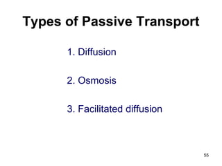 Types of Passive Transport
1. Diffusion
2. Osmosis
3. Facilitated diffusion
55
 