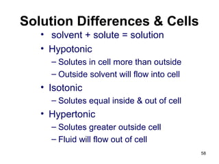 Solution Differences & Cells
• solvent + solute = solution
• Hypotonic
– Solutes in cell more than outside
– Outside solvent will flow into cell
• Isotonic
– Solutes equal inside & out of cell
• Hypertonic
– Solutes greater outside cell
– Fluid will flow out of cell
58
 