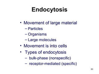 Endocytosis
• Movement of large material
– Particles
– Organisms
– Large molecules
• Movement is into cells
• Types of endocytosis
– bulk-phase (nonspecific)
– receptor-mediated (specific)
63
 