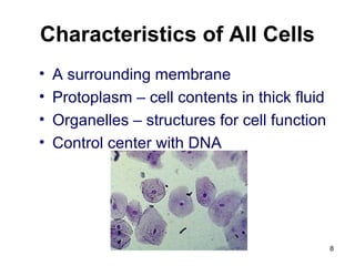 Characteristics of All Cells
• A surrounding membrane
• Protoplasm – cell contents in thick fluid
• Organelles – structures for cell function
• Control center with DNA
8
 